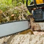 Emergency Tree Removal