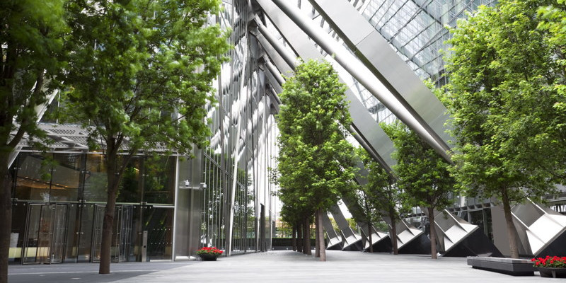 Commercial Tree Services in Apex, North Carolina