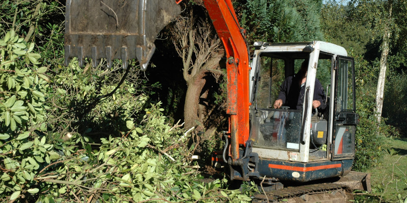 Fallen Tree Removal in Apex, North Carolina