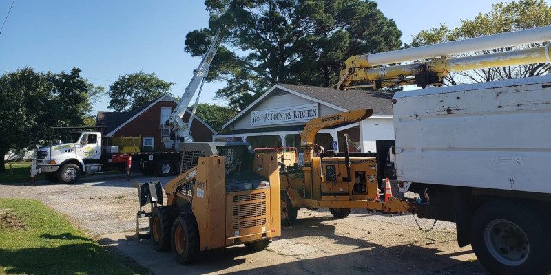 Emergency Tree Services in Apex, North Carolina