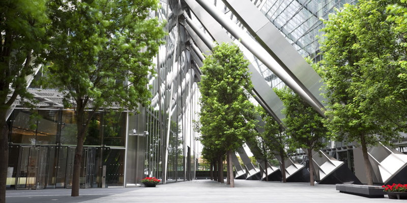 Commercial Tree Services in South Raleigh, North Carolina