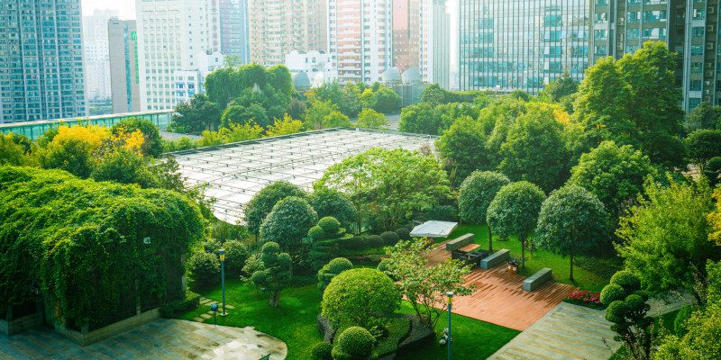 commercial tree services