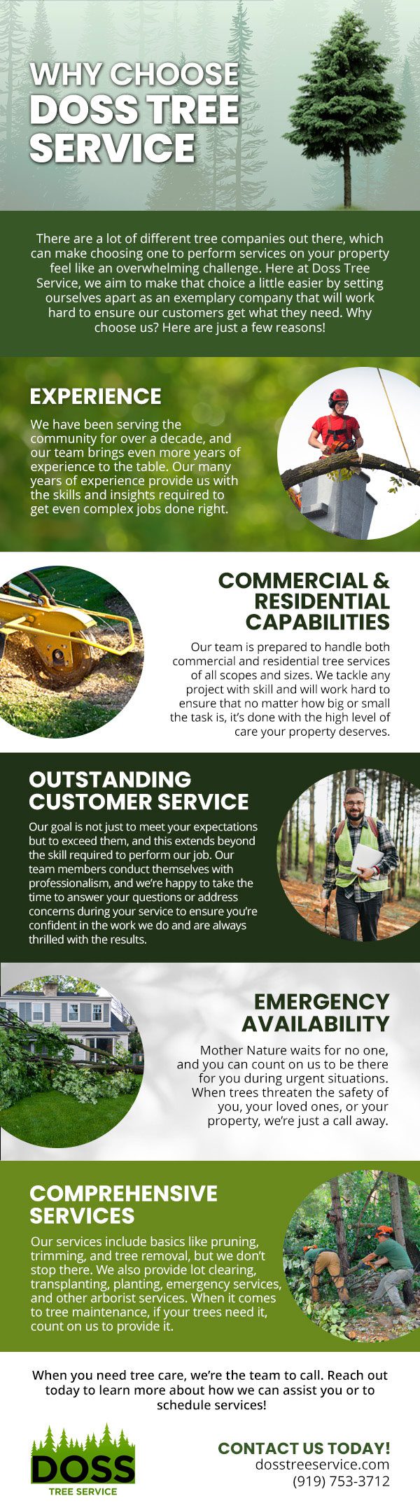 We aim to set ourselves apart as an exemplary tree service company.