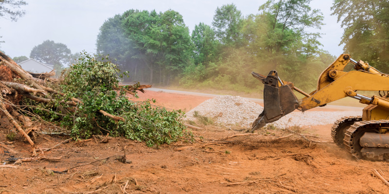 5 Benefits of Professional Lot Clearing for Homeowners